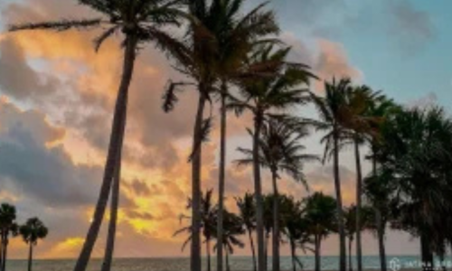 The Miami Mistakes We See Every Visitor Make (And How to Avoid Them)