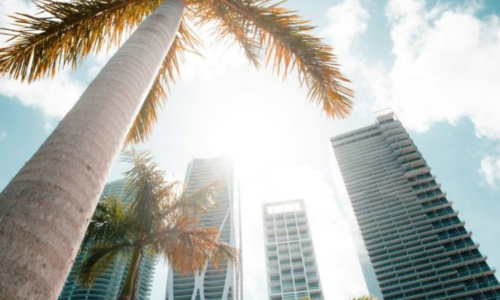 Miami’s Most Walkable Neighborhoods for Visitors
