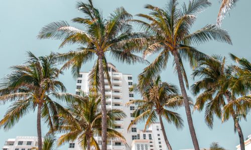 11 Local Experiences That Make Your Miami Vacation Unforgettable
