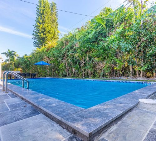 32d4ad35-5a4f-49dc-9d1a-f41471da9a81 (1)