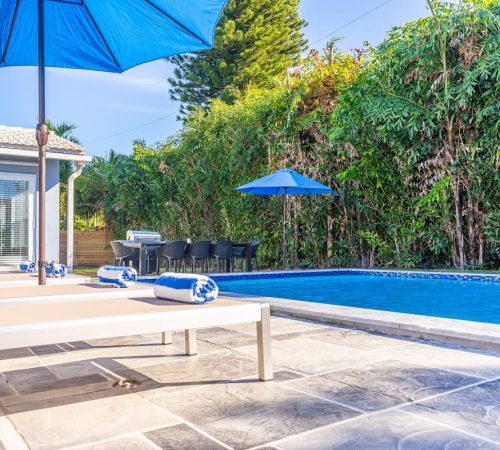 5fdedcb0-3bfa-4cc1-bab7-44f9b5a78c77 (1)