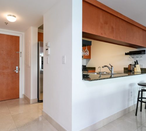 Xavier-20200227-0049-min