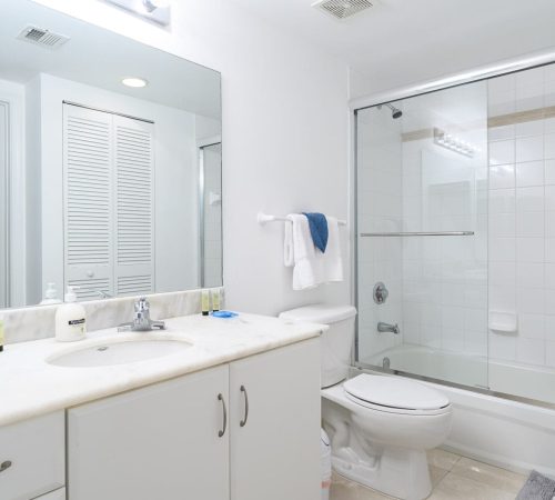 Xavier-20200227-0162-min