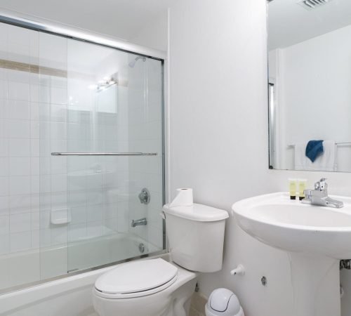 Xavier-20200227-0181-min