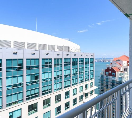 Xavier-20200227-0231-min