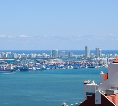 Xavier-20200227-0261-min