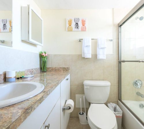 f20b4785-db31-4d0f-adeb-14a6e5702cc6