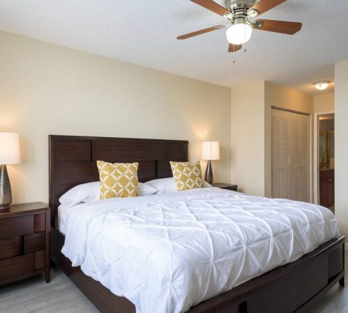 mrpm-4251307-aventurarental-08